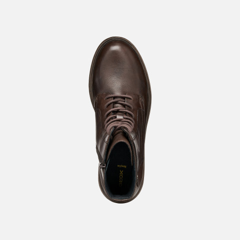 Biker ankle boots SWELEN WOMAN Dark Brown - image number 5 | GEOX