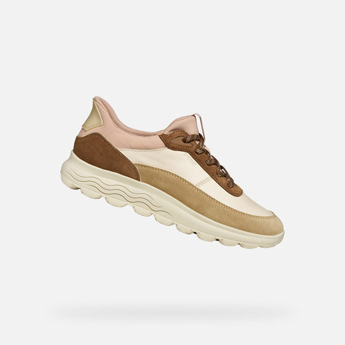Low top sneakers SPHERICA PLUS WOMAN Papyrus/Mud | GEOX