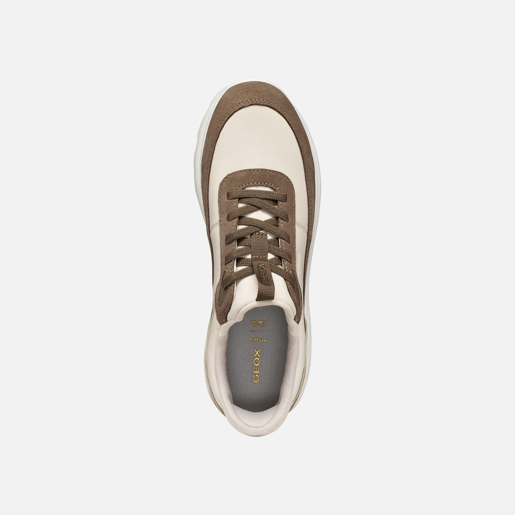 Slip in sneakers SPHERICA PLUS WOMAN Papyrus/Taupe - image number 5 | GEOX