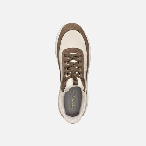 Slip in sneakers SPHERICA PLUS WOMAN Papyrus/Taupe - image number 5 | GEOX