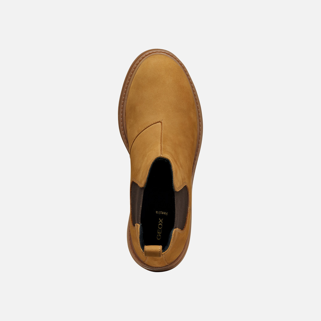 Chelsea boots IRIDEA WOMAN Lion - image number 5 | GEOX