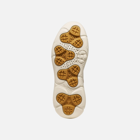 Platform trainers NEBULA 2.0 X WOMAN Papyrus - image number 6 | GEOX