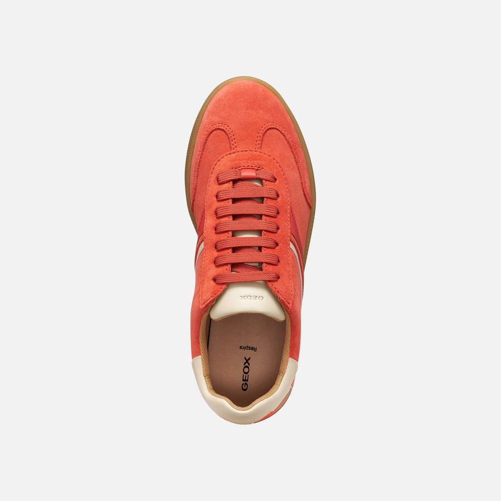 Low top sneakers MELEDA WOMAN Coral - image number 5 | GEOX
