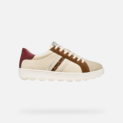 Low top sneakers SPHERICA ECUB-1 WOMAN Papyrus/Mud - image number 1 | GEOX