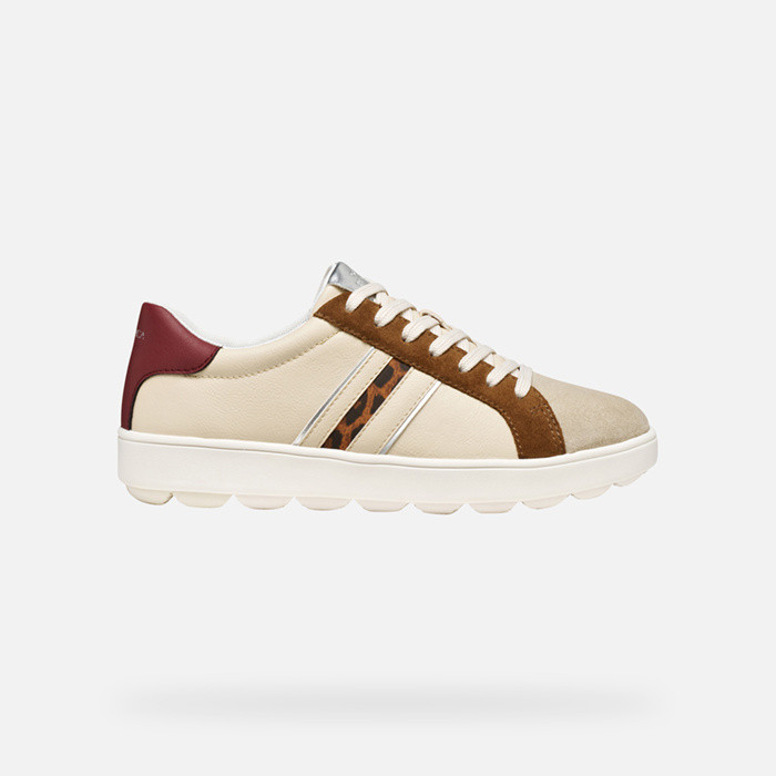 Low top sneakers SPHERICA ECUB-1 WOMAN Papyrus/Mud | GEOX