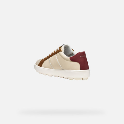 Low top sneakers SPHERICA ECUB-1 WOMAN Papyrus/Mud - image number 3 | GEOX