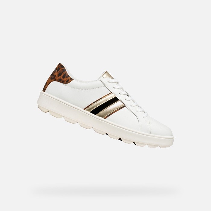 Low top sneakers SPHERICA ECUB-1 WOMAN White/Cognac | GEOX