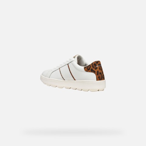 Low top sneakers SPHERICA ECUB-1 WOMAN White/Cognac - image number 3 | GEOX