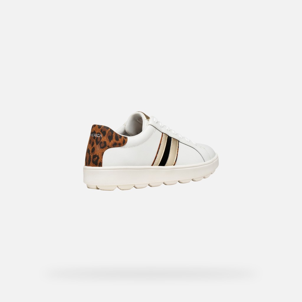 Low top sneakers SPHERICA ECUB-1 WOMAN White/Cognac - image number 4 | GEOX