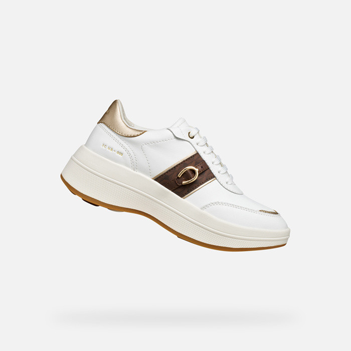 Platform trainers SPHERICA ECUB-3 WOMAN White/Dark Brown | GEOX