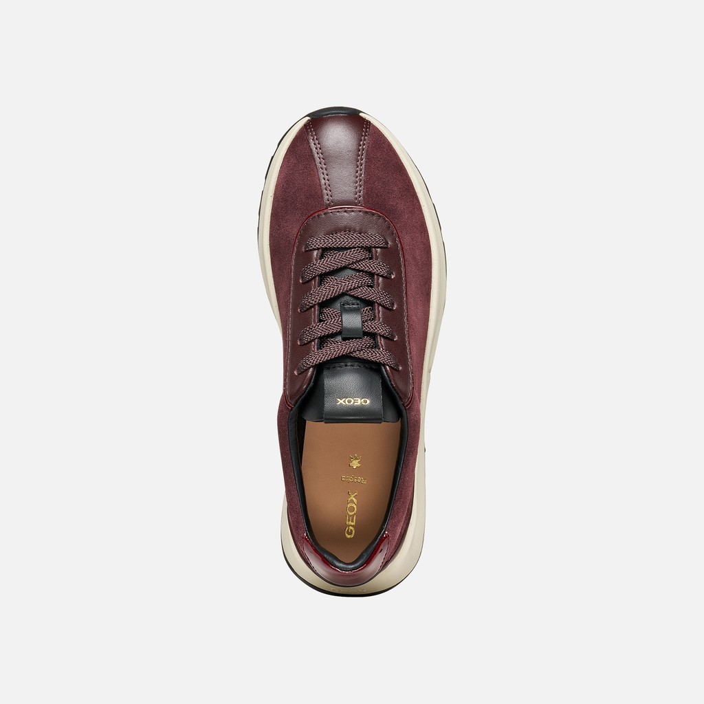 Low top sneakers METROPOLI WOMAN Dark burgundy/Bordeaux - image number 5 | GEOX
