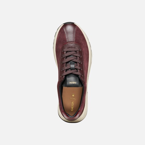 Low top sneakers METROPOLI WOMAN Dark burgundy/Bordeaux - image number 5 | GEOX
