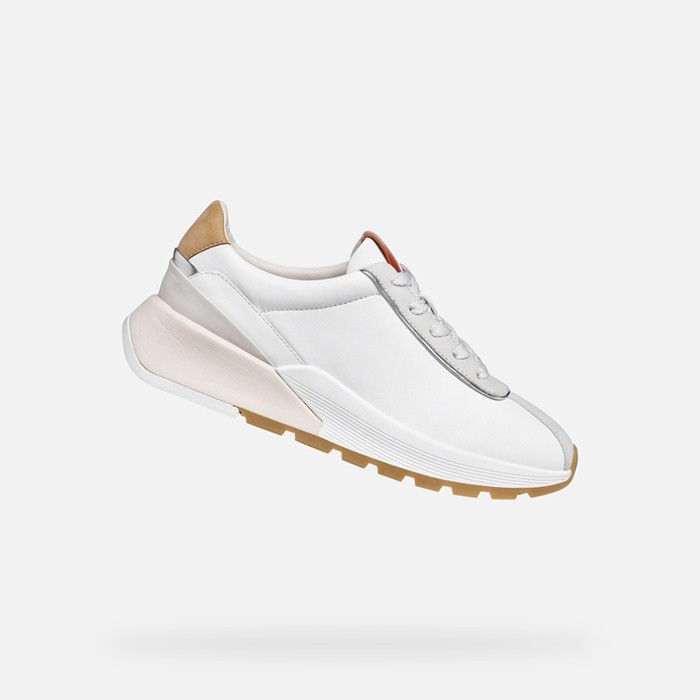 Low top sneakers METROPOLI WOMAN White/Light Grey | GEOX