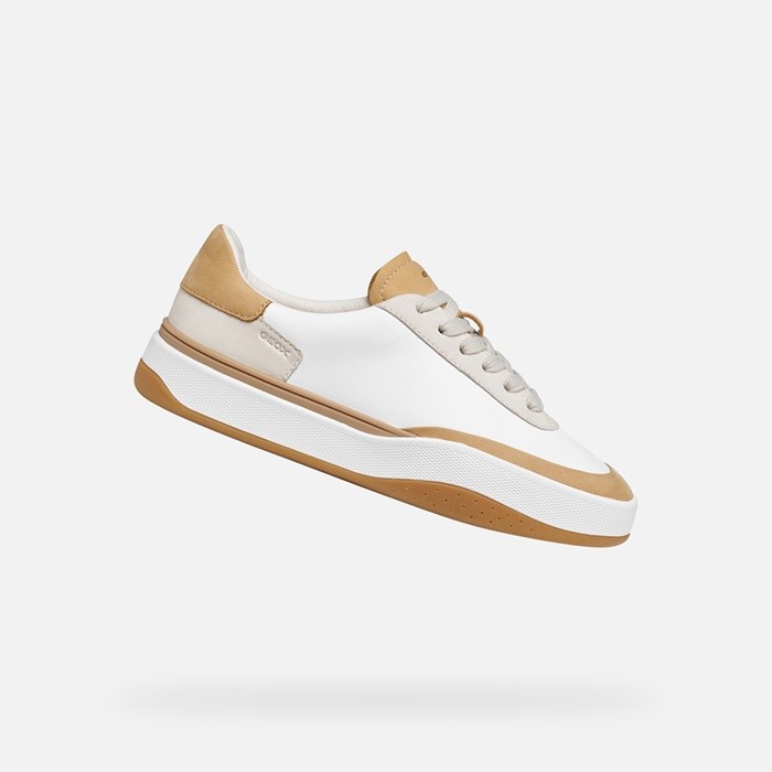 Sapatilhas baixas DYNAMIA MULHER Branco/Castanho claro | GEOX