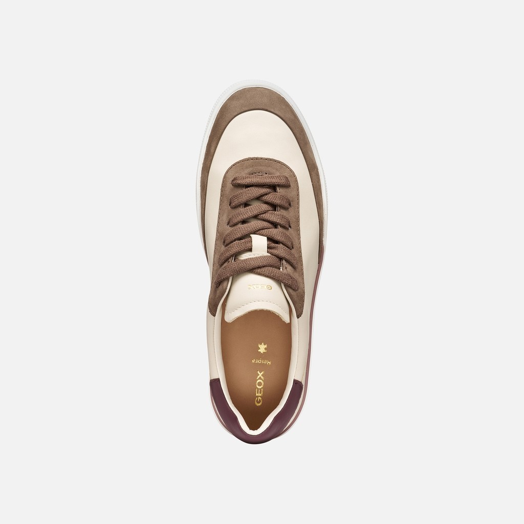 Low top sneakers DYNAMIA WOMAN Papyrus/Light Taupe - image number 5 | GEOX