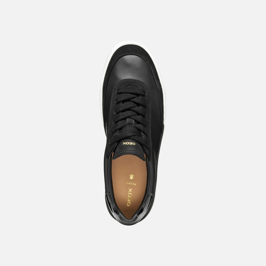 Baskets basse DYNAMIA FEMME Noir - image number 5 | GEOX