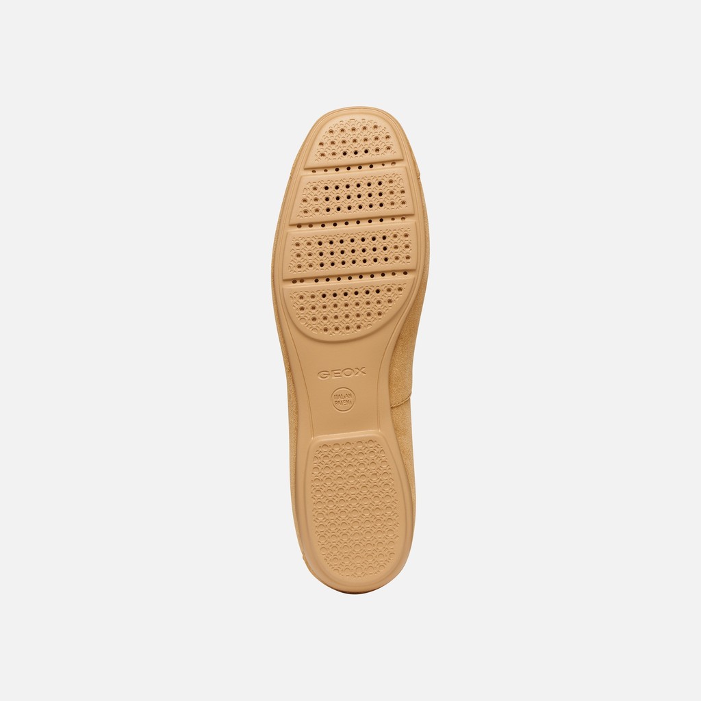 Bailarinas de ante ANNYTAH MUJER Coñac - image number 6 | GEOX