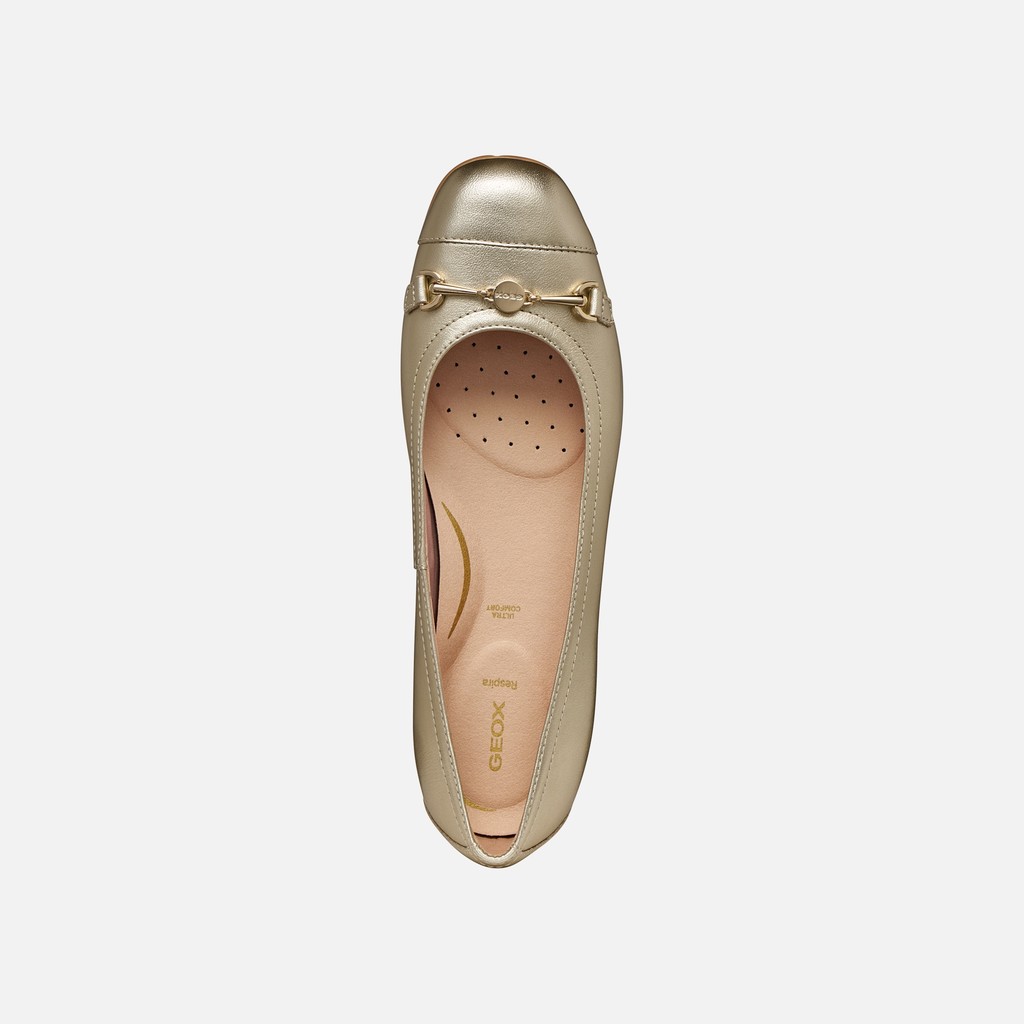 Lederballerinas ANNYTAH DAME Hellgold - image number 5 | GEOX