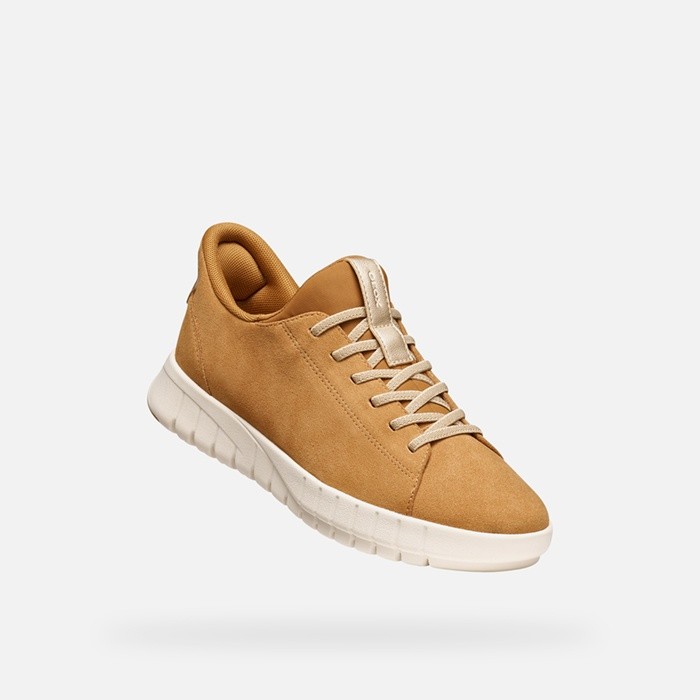 Sapatilhas slip in FLEXTRIDE PLUS MULHER Conhaque | GEOX