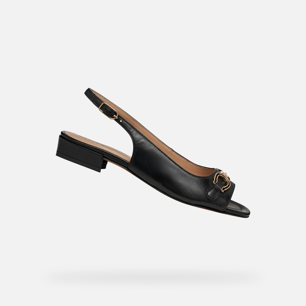 Slingbacks with low heels NEW ERAKLIA 15 WOMAN Black - image number 0 | GEOX