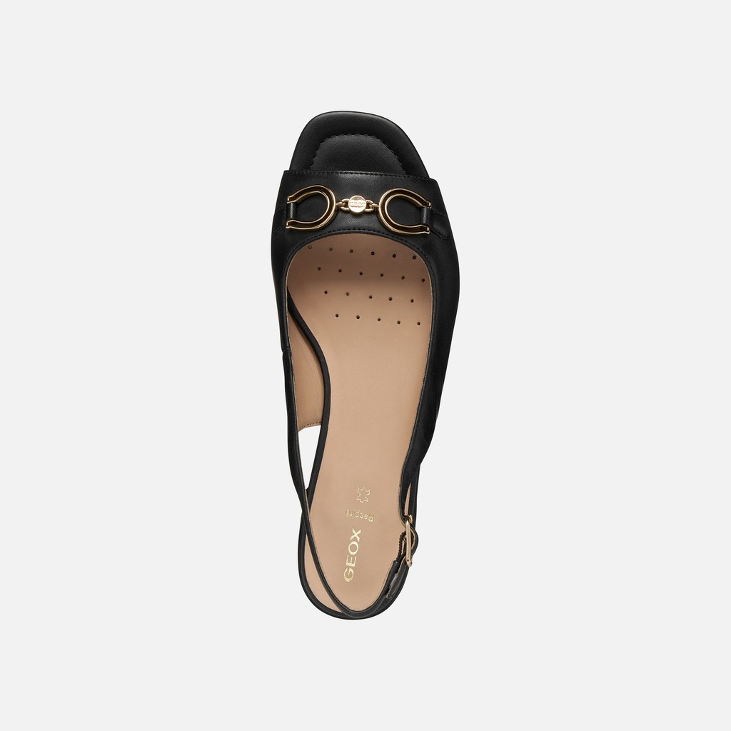 Slingbacks with low heels NEW ERAKLIA 15 WOMAN Black - image number 5 | GEOX