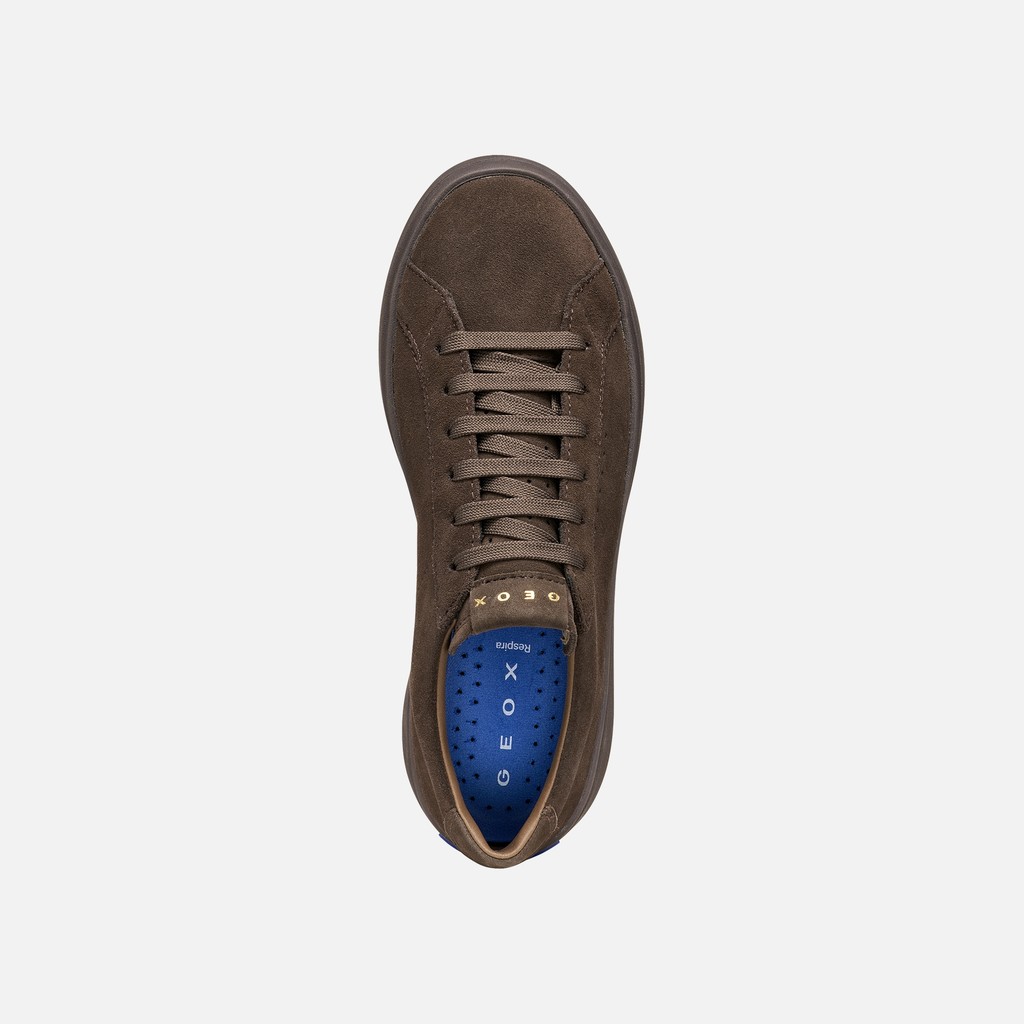 Plateau sneakers GXCP-03 WOMAN Chocolate - image number 5 | GEOX