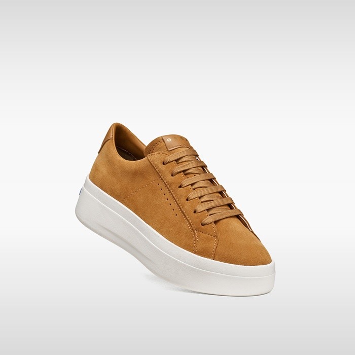 Sneakers con plateau GXCP-03 DONNA Cognac | GEOX
