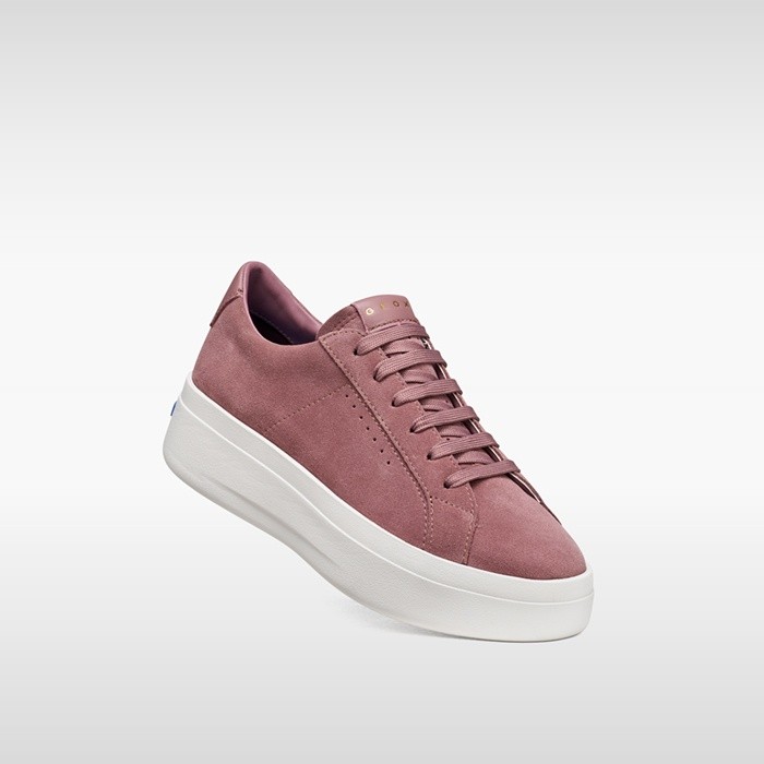 Plateau sneakers GXCP-03 WOMAN Old Rose | GEOX