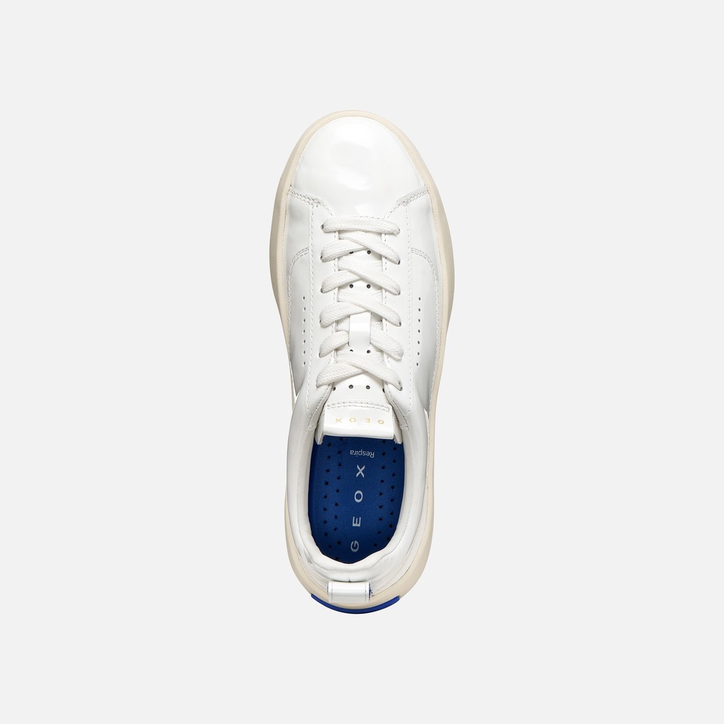 Low top sneakers GXCP-01 WOMAN White - image number 5 | GEOX