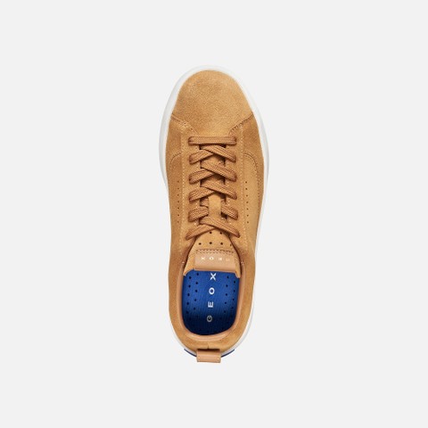 Leather sneakers GXCP-01 WOMAN Whisky - image number 6 | GEOX