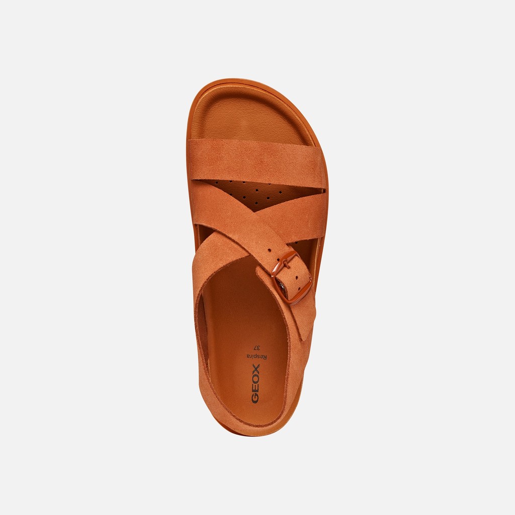 Niedrige Sandalen SANDYBETT DAME Ziegelrot - image number 5 | GEOX