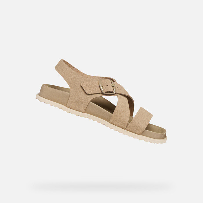 Flat sandals SANDYBETT WOMAN Light Taupe | GEOX