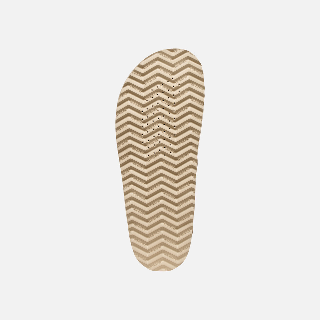 Flat sandals SANDYBETT WOMAN Light Taupe - image number 6 | GEOX