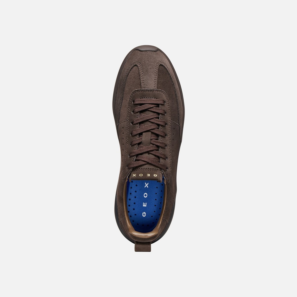 Baskets en cuir GXRN-02 FEMME Marron - image number 6 | GEOX