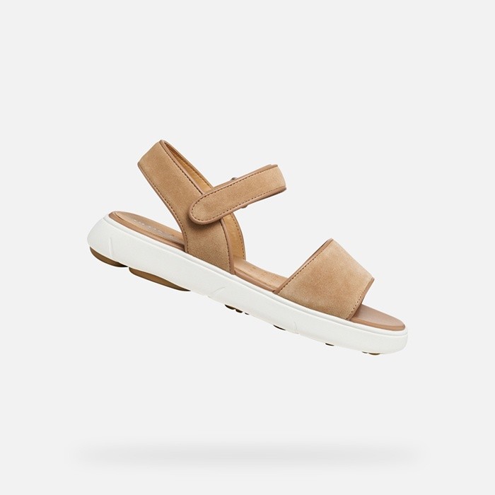 Flat sandals NEBULA 2.0 C S WOMAN Beige | GEOX
