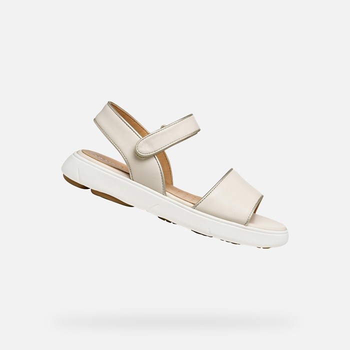 Flat sandals NEBULA 2.0 C S WOMAN Papyrus/Light gold | GEOX