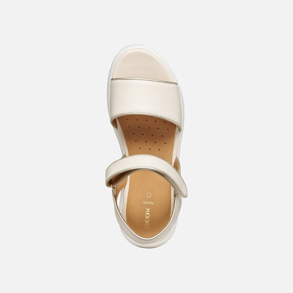 Flat sandals NEBULA 2.0 C S WOMAN Papyrus/Light gold - image number 5 | GEOX
