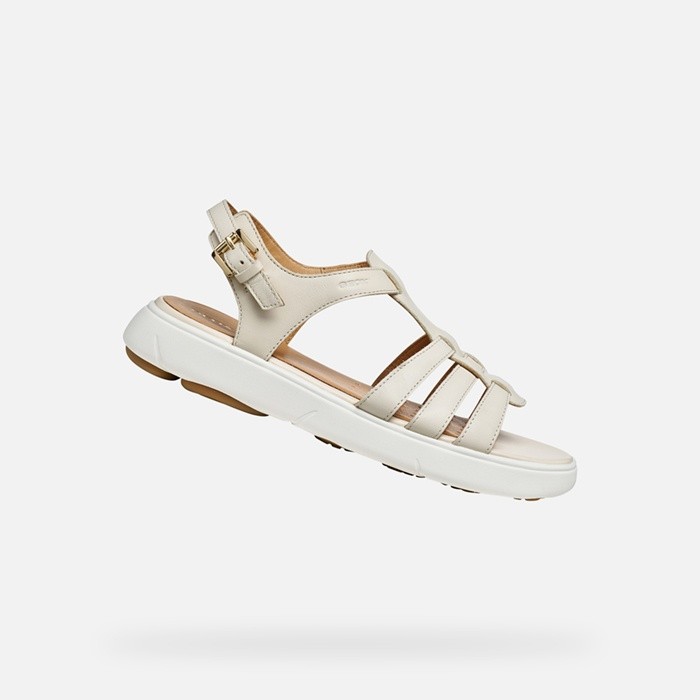 Flat sandals NEBULA 2.0 C S WOMAN Papyrus | GEOX