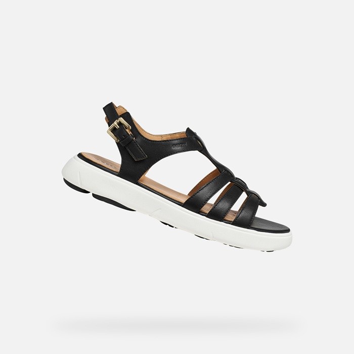 Flat sandals NEBULA 2.0 C S WOMAN Black | GEOX