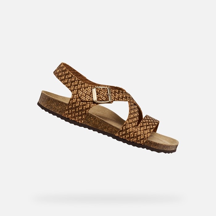 Flat sandals BRIONIA WOMAN Bronze | GEOX