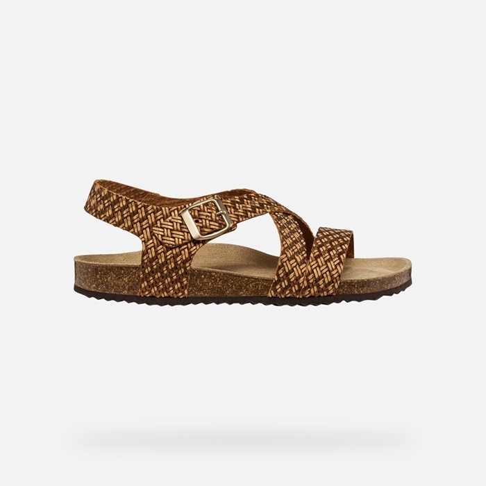 Flat sandals BRIONIA WOMAN Bronze | GEOX