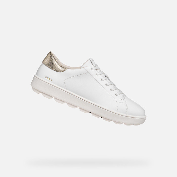 Niedrige Sneakers SPHERICA ECUB-1 B DAME Weiß/Hellgold | GEOX