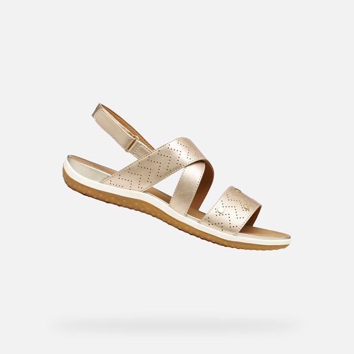 Flat sandals SANDAL VEGA WOMAN Light Gold | GEOX