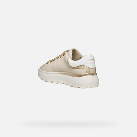 Low top sneakers SPHERICA EC4.1 WOMAN Papyrus/Light gold - image number 3 | GEOX