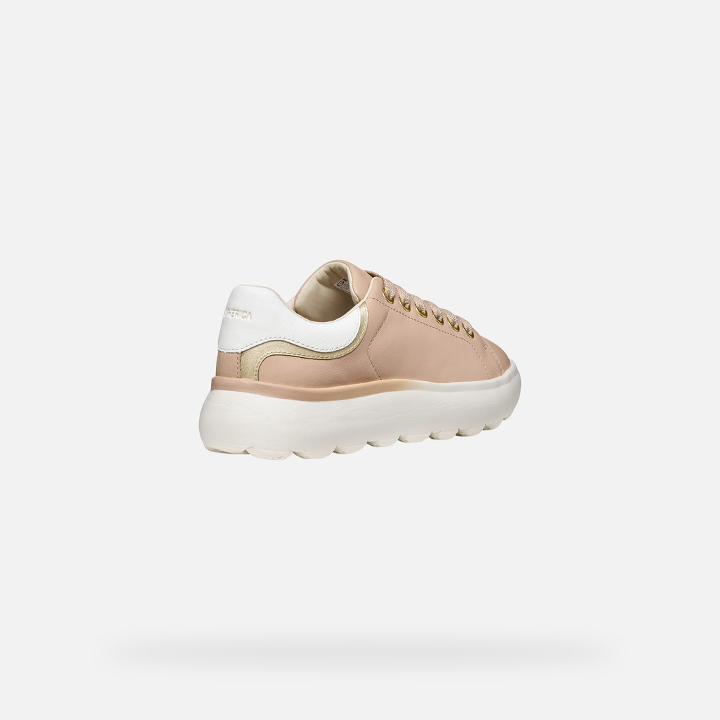 Low top sneakers SPHERICA EC4.1 WOMAN Rose/Light gold - image number 4 | GEOX