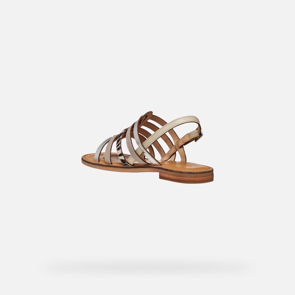 Flat sandals MADDALUSIA C WOMAN Rock/Papyrus - image number 3 | GEOX