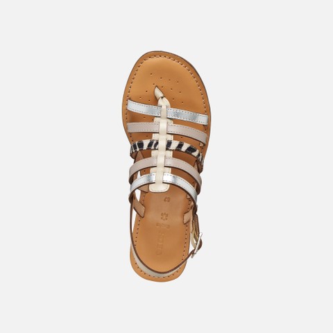 Flat sandals MADDALUSIA C WOMAN Rock/Papyrus - image number 5 | GEOX