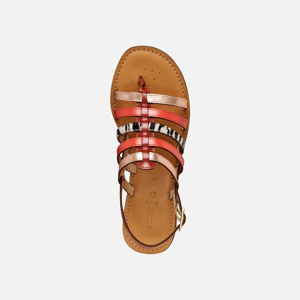 Flat sandals MADDALUSIA C WOMAN Rose Gold/Brick - image number 5 | GEOX