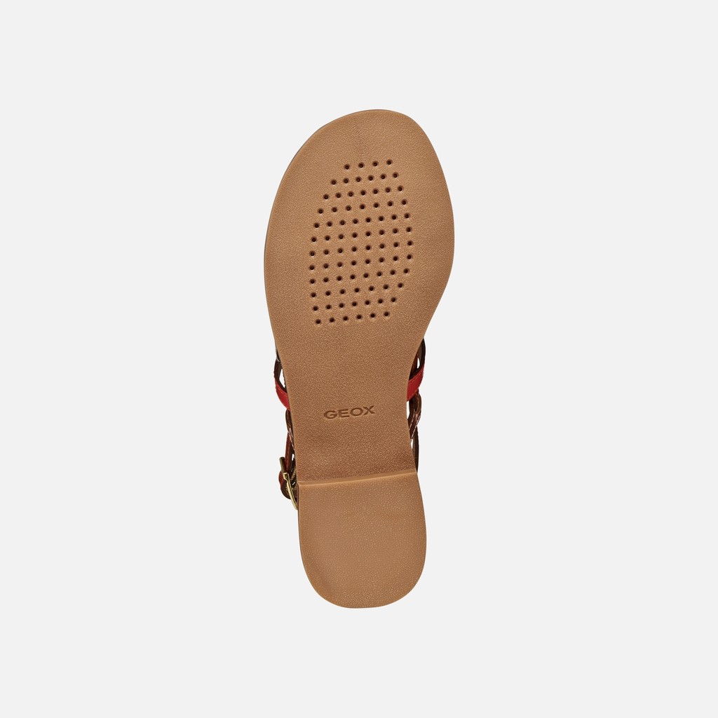 Flat sandals MADDALUSIA C WOMAN Rose Gold/Brick - image number 6 | GEOX
