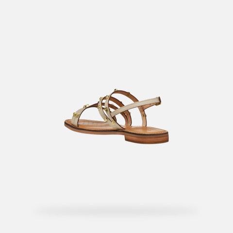 Flat sandals MADDALUSIA C WOMAN Papyrus - image number 3 | GEOX